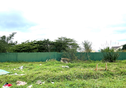 Nhiều dự án ở TP Vinh rào tôn quanh năm, không triển khai cũng không bị thu hồi