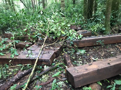 Vì sao 4 chủ tịch xã ở Lâm Đồng bị đề nghị xử lý trách nhiệm?