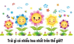Đố mẹo: Trái gì có nhiều hoa nhất thế giới?
