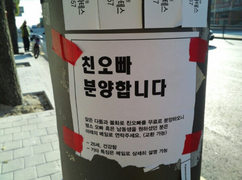 Em gái in tờ rơi nhượng lại anh trai vì không chịu nổi, đọc miêu tả mà cười ngất