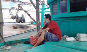 Giá xăng dầu liên tục tăng, ngư dân Cà Mau lo lỗ vốn