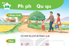 Tiếng Việt 1 không dạy chữ P: 'Cải tiến hoá cải lùi, sai lầm nghiêm trọng'