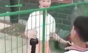 Cú lừa của trai lạ khiến người đẹp chưng hửng