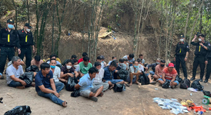 Bình Dương: Cảnh sát nổ súng, bắt 31 người chơi đá gà