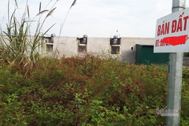 Đánh thuế nhà, tài sản để dành của dân giàu: Động thái mới từ Bộ Tài chính