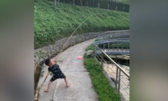 Câu được cá to, cậu bé không kéo nổi lên bờ