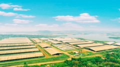 Tập đoàn TH: Ứng dụng công nghệ 4.0 vào cụm trang trại đạt kỷ lục thế giới