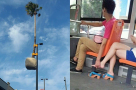 Top những thứ khó giải thích nhất quả đất nằm gọn trong các khoảnh khắc này