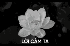 Lời cảm tạ!