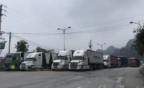 Trung Quốc dừng nhận thông quan, cửa khẩu Hữu Nghị tồn hơn 900 xe hàng
