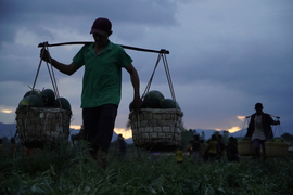 Ảnh: Gánh dưa đêm ở Tây Nguyên