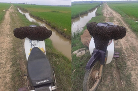 Để xe giữa đồng bị ‘kẻ lạ chiếm’, cầu cứu dân mạng thì được hiến kế càng tức hơn