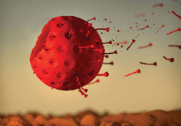 Người mắc COVID-19 có thể bỏ hoàn toàn virus khỏi cơ thể?