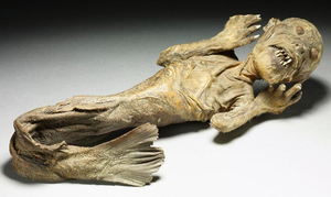 Bí ẩn xác ướp 'nàng tiên cá' dài 30 cm được thờ cúng trong ngôi đền Nhật Bản