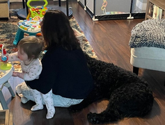 Những bức ảnh 'ảo tung chảo' đến mức căng mắt vẫn không nhìn ra được sự thật