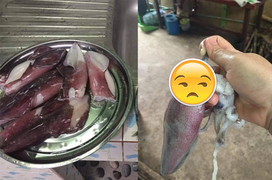 Hí hửng làm thịt mực, thanh niên chưng hửng khi thấy ‘quà khuyến mãi’ đính kèm