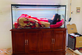 Xanh mặt nhìn các chị 'xử đẹp' chồng vì tội mê cá hơn vợ, cái nịt cũng không còn