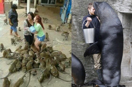 'Ét ô ét', khi hội xui xẻo gửi tín hiệu cầu cứu nhưng ai nhìn cũng chỉ biết cười