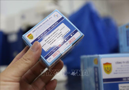 Cách tất cả các chức vụ trong Đảng đối với Giám đốc CDC Bình Phước