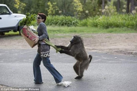 'Ét o ét' là gì mà dậy sóng mạng xã hội?