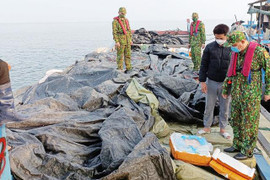 20 tấn nầm lợn bốc mùi hôi thối tuồn vào Việt Nam qua đường biển