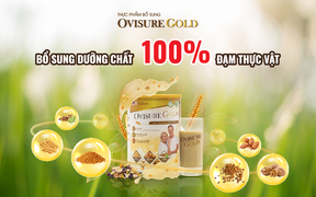 Sữa hạt Ovisure Gold - dinh dưỡng vàng từ nguồn đạm thực vật cao cấp