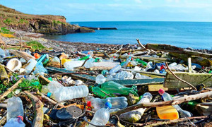 WWF bắt đầu đàm phán cho hiệp ước toàn cầu về ô nhiễm nhựa