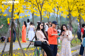 Hà Nội yêu cầu không tập trung đông người ở đường hoa phong linh