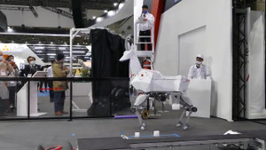 Video: Robot dê chở 100 kg hàng hóa ở Nhật Bản