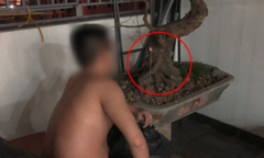 Nửa đêm chồng ngồi thừ trên sân thượng, vợ được phen xanh mặt khi thấy thứ này