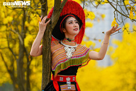 Đường hoa phong linh và những địa điểm check in sống ảo hút giới trẻ Hà Nội