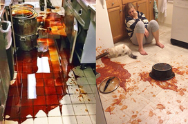 Khóc thét nhìn căn bếp biến thành hiện trường phim kinh dị bởi các tay vụng về