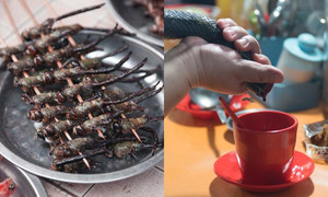 Chuồn chuồn rán giòn, tiết canh rắn và những món kì lạ của đất nước Indonesia