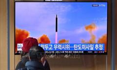 Triều Tiên thực hiện vụ phóng mới từ các hệ thống rocket phóng loạt
