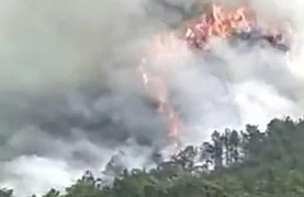 Video: Máy bay Boeing 737 chở 132 người rơi ở Trung Quốc