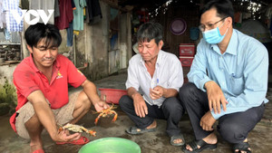 Cua Cà Mau lại chết hàng loạt, người dân đứng ngồi không yên