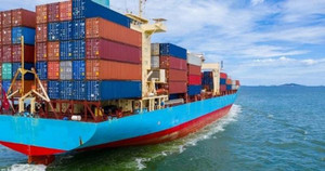 Xuất khẩu điều sang Italy nghi bị lừa: Đề nghị hãng tàu giảm 40% phí cược