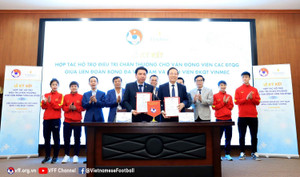 Tuyển thủ Việt Nam được tài trợ chi phí khám, chữa chấn thương