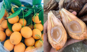 3 món giải nhiệt đang ‘hot’ rần rần: Người miền Tây nhìn qua là biết ngay món gì