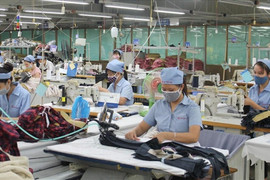 F1 tại TP.HCM được đi học, đi làm