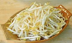 Những ai không nên ăn giá đỗ?