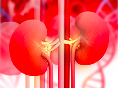 6 dấu hiệu sớm cảnh báo bệnh thận, khi gặp vấn đề thì nên đi khám ngay