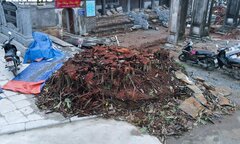 Tu sửa đình Chèm 2000 năm tuổi: Cây đa bị chặt hạ vì không hợp phong thuỷ