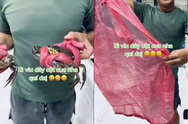 Khách mua cua về phát hiện được tặng kèm ‘quà’, dân mạng rôm rả ‘lời quá rồi’