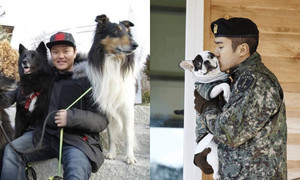 Sao Hàn gây phẫn nộ vì để chó cắn người: Người bị tù treo, kẻ nộp phạt 1 triệu