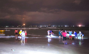 Tìm thấy thi thể du khách bị sóng biển cuốn trôi khi tắm biển đêm ở Đà Nẵng