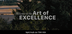 Các 'siêu phẩm bay' hứa hẹn làm khuynh đảo ngành hàng không Việt của Sun Air