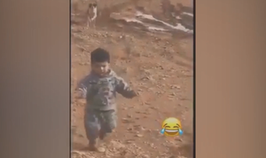 Gan lì mấy cũng bỏ chạy khi chó đuổi