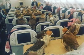 Cảnh tượng khó đỡ trên các chuyến bay khiến người nhìn dở khóc dở cười