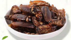 Khó tin nhưng có thật: Gián được nấu thành món ăn, còn là đặc sản ở Trung Quốc